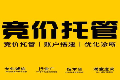 某知名企业SEM外包项目的成功经验分享